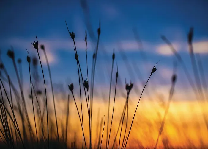 Дом отдыха Lovely In With Wifi Привлака