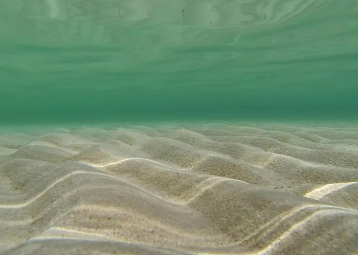 Lovely In With Wifi Привлака